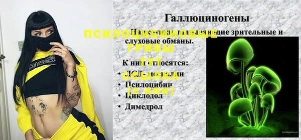 бошки Алексин